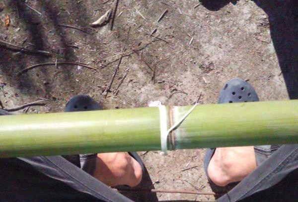 Alkuperäiskansojen Australian soitin - Didgeridoo