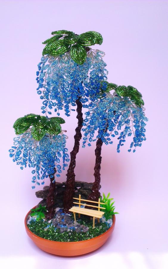 Sininen wisteria