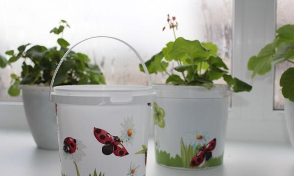 Pots de jardin originaux pour fleurs d'intérieur