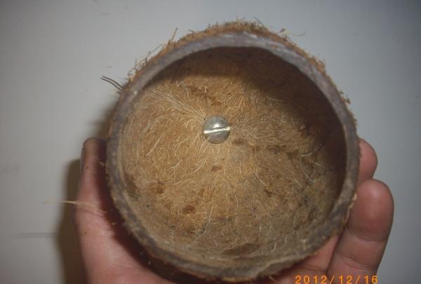 Kokosnötspennahållare