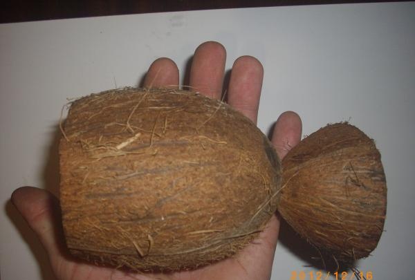 Držač kokosove olovke