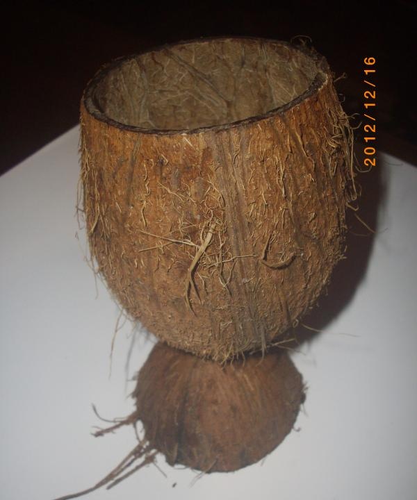 Kokoso rašiklio laikiklis