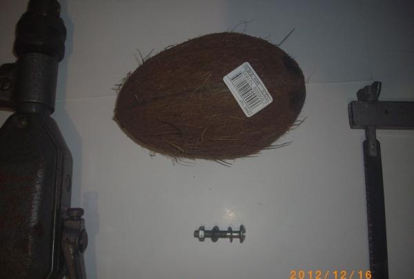 Cây bút dừa