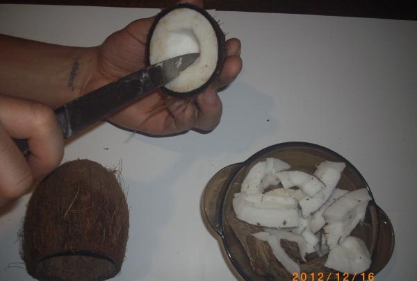Kokosnødpenholder