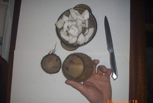 Držač kokosove olovke