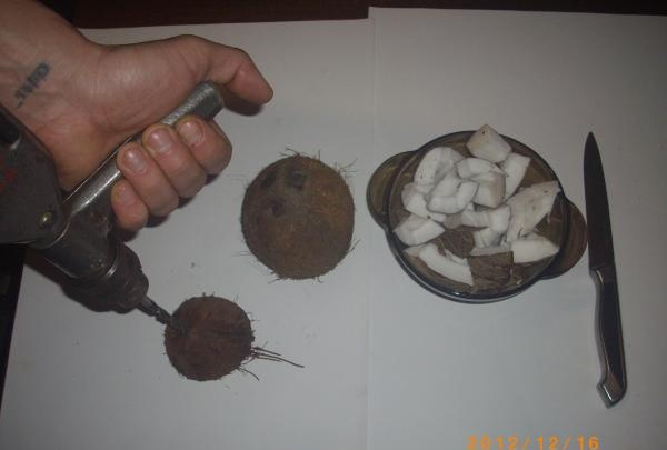 Држач кокосове оловке
