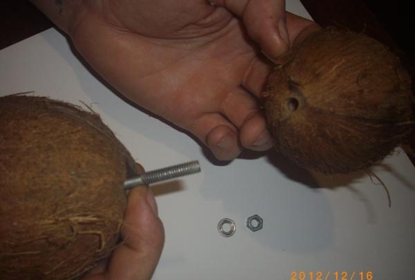 Kokosnuss Stifthalter