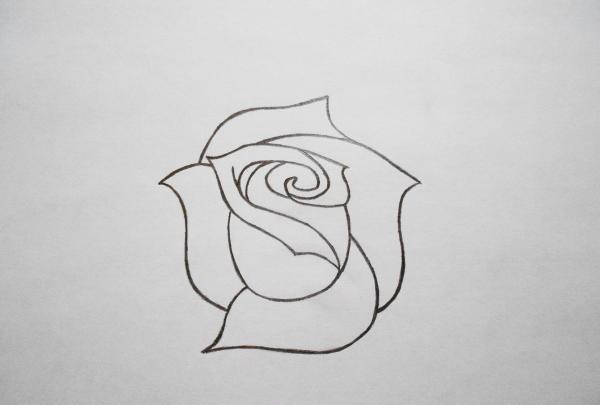 Zeichne eine Rose