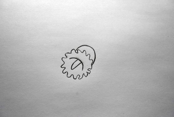 Desenați o narcisă