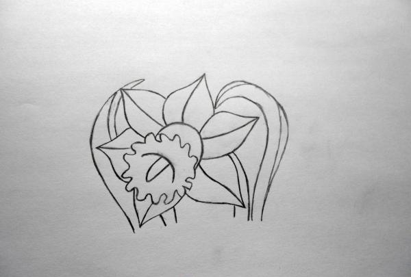 Draw a daffodil
