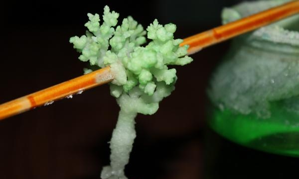 Informazioni sulla coltivazione di cristalli a casa