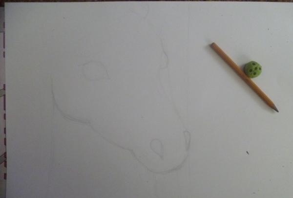 We tekenen een portret van een zout paard