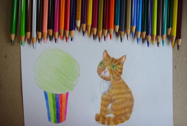 pictează pisica