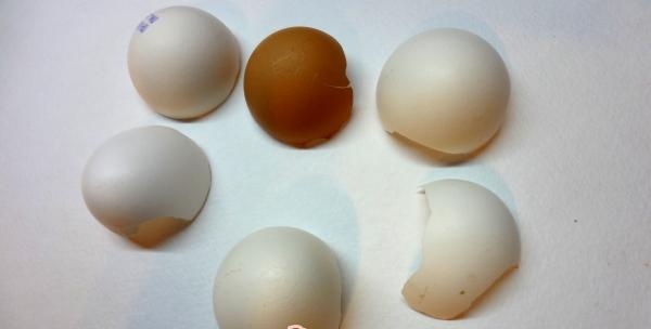 Lavare il guscio d'uovo