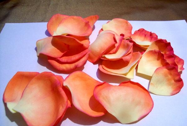 other rose petals