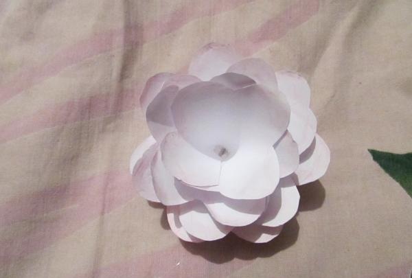papierowy kwiat