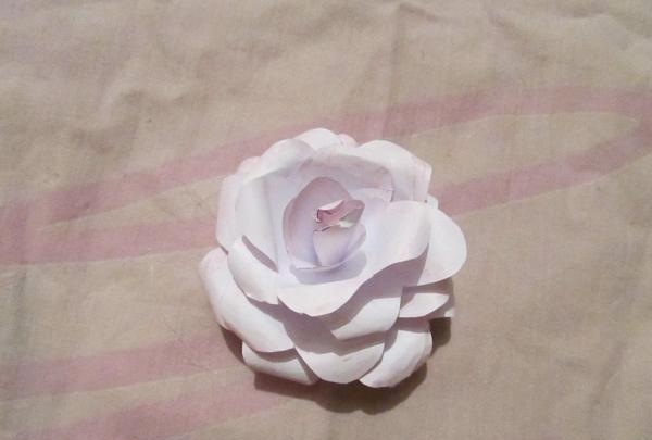 papierowy kwiat