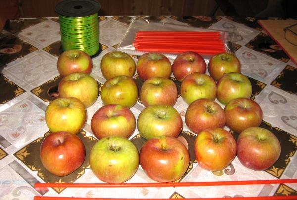 Karameļu āboli