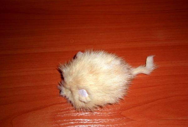 Fur toy mouse for cat