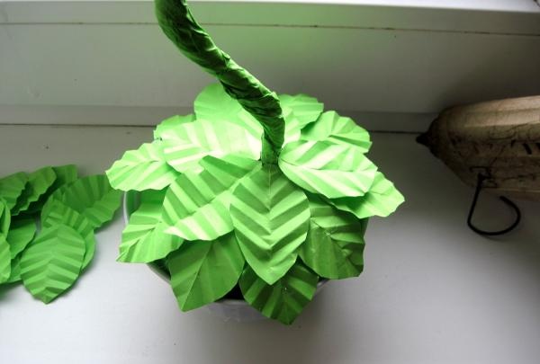 filigraan topiary