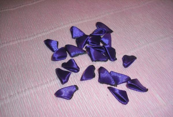 Skavu violets