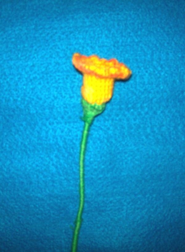 draad iris bloem