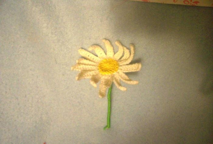 Bagaimana daisies bersatu dari benang