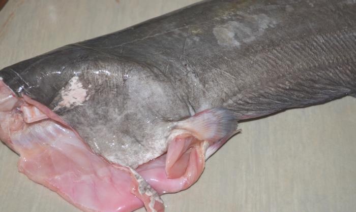 Lezzetli yayın balığı nasıl kızartılır