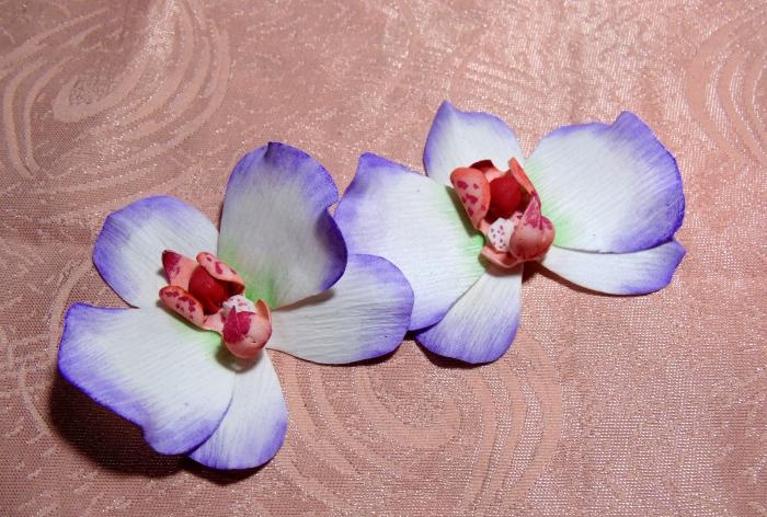 Masterclass klem Orchid