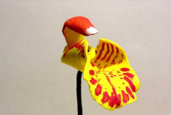 Galhos de orquídeas de oficina