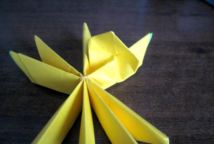 origami leknín