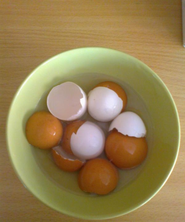Kiaušinių lukštas