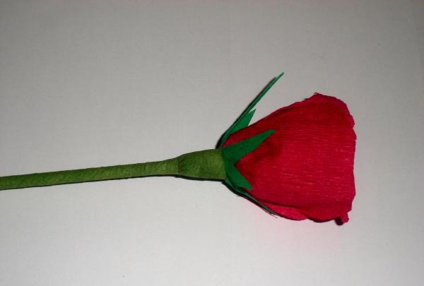 хартиена роза