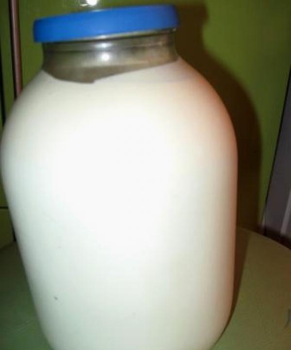 hemgjord mjölk