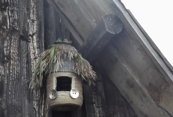 birdhouse for birds