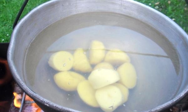 dát brambory