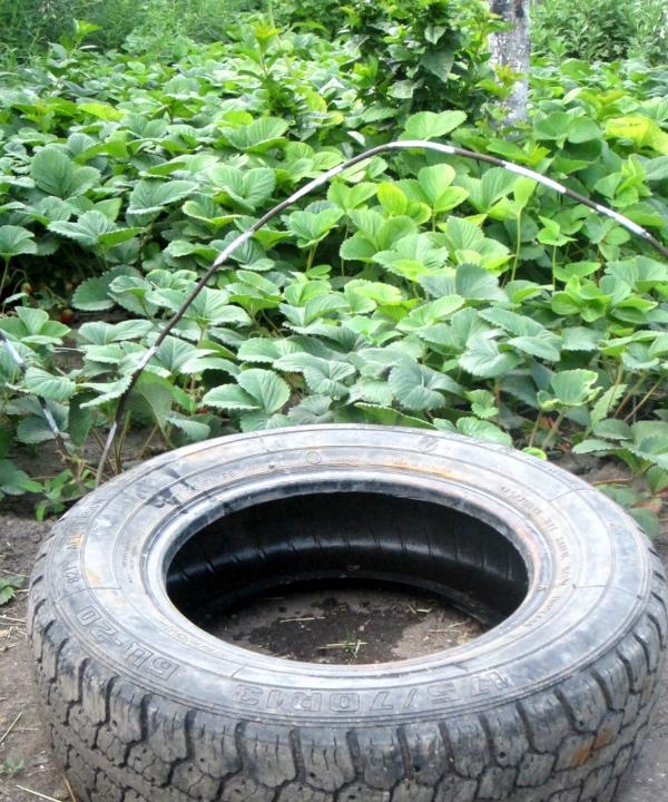 rubber car tire