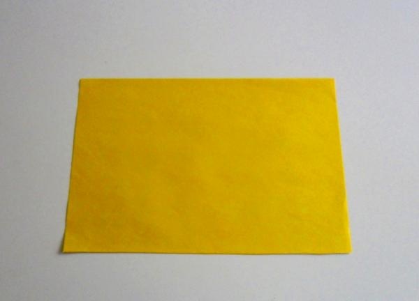 Poisson en papier simple