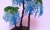 Kék wisteria