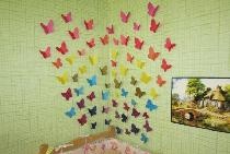 Multicolored butterflies