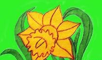 Σχεδιάστε ένα daffodil