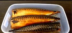 Kald makrell matlaging