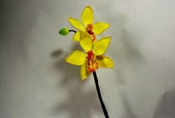 Warsztatowe gałązki orchidei
