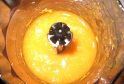 Apricot puree untuk kanak-kanak