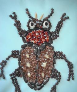 Käfer aus Getreide und Samen
