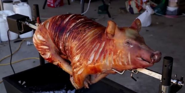 איך צולים חזיר שלם על ירק