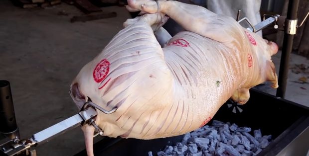 איך צולים חזיר שלם על ירק