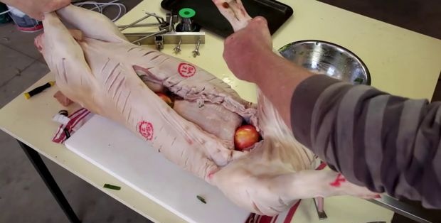 Hoe een heel varken aan het spit te braden