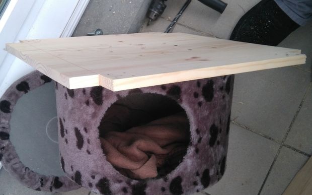 Very tall and durable cat house