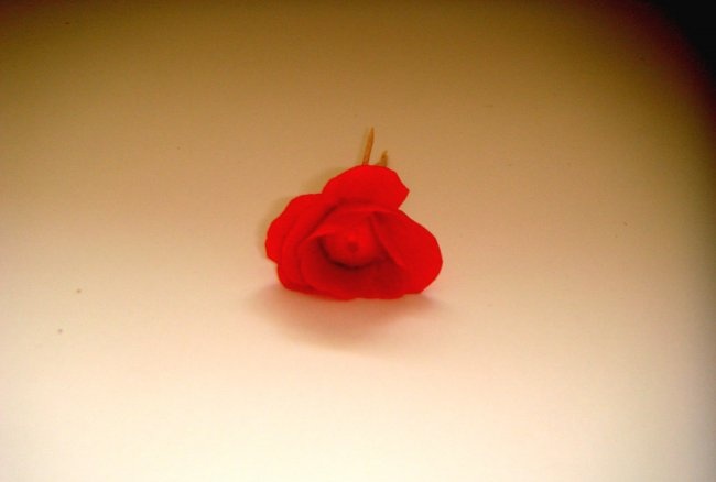 Malé růže